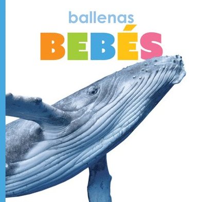 bokomslag Ballenas Bebés