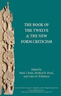 bokomslag The Book of the Twelve and the New Form Criticism