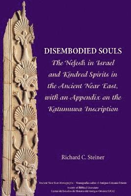 Richard C Steiner - Disembodied Souls, Häftad