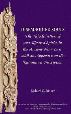 Richard C Steiner, Richard C. Steiner - Disembodied Souls, Inbunden