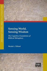bokomslag Sensing World, Sensing Wisdom