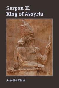 bokomslag Sargon II, King of Assyria