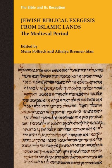 bokomslag Jewish Biblical Exegesis from Islamic Lands