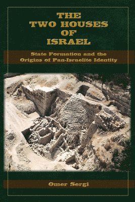 bokomslag Two Houses of Israel