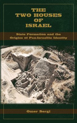 bokomslag Two Houses of Israel