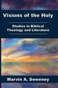bokomslag Visions of the Holy