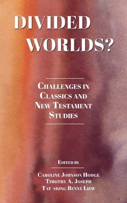 bokomslag Divided Worlds?