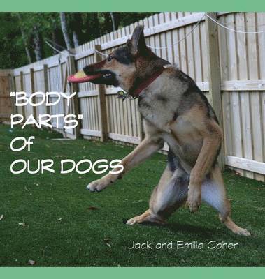 Body Parts of Our Dogs 1