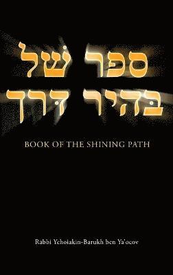 bokomslag Book of the Shining Path