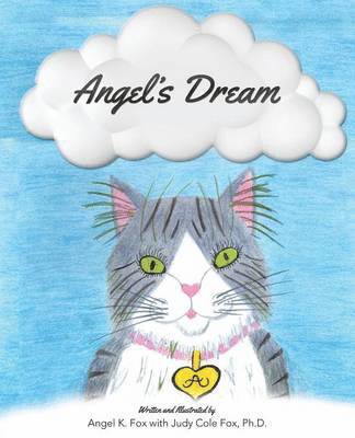 bokomslag Angel's Dream