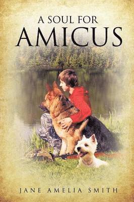 bokomslag Soul for Amicus