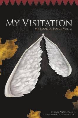 My Visitation 1