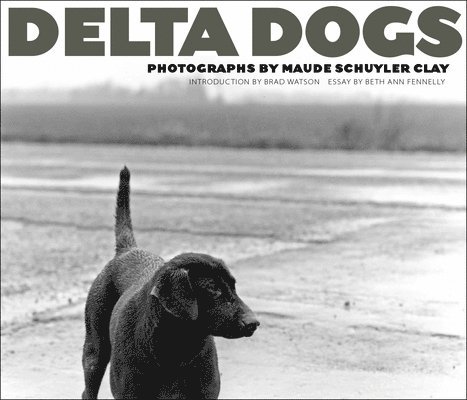Delta Dogs 1