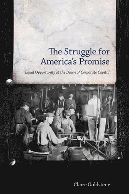 bokomslag The Struggle for America's Promise