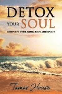 bokomslag Detox Your Soul Renovate Your Mind, Body, and Spirit