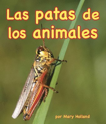 Mary Holland - Patas de Los Animales (Animal Legs), Häftad