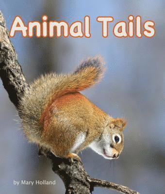 Mary Holland - Animal Tails, Inbunden