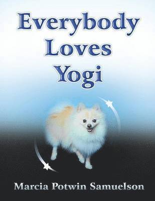 bokomslag Everybody Loves Yogi