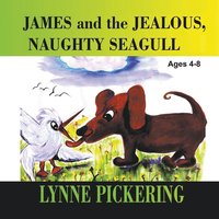 bokomslag James and the Jealous, Naughty Seagull