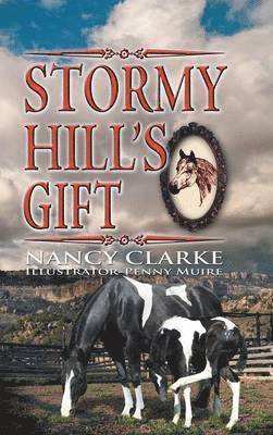 Stormy Hill's Gift 1