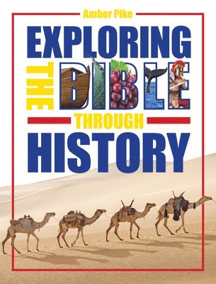 bokomslag Exploring the Bible Through History