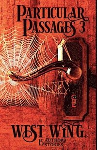 bokomslag Particular Passages 3
