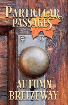 Steve Ruskin, L N Hunter, Jude DeLuca, L. N. Hunter, L.N. Hunter, Jude Deluca - Particular Passages, Häftad