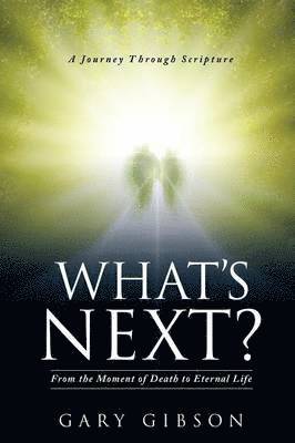Gary Gibson - What's Next?, Häftad