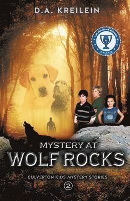 bokomslag Mystery at Wolf Rocks