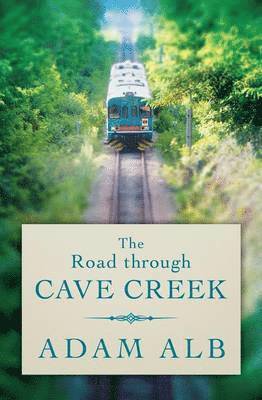 Alb Adam - Road Through Cave Creek, Häftad