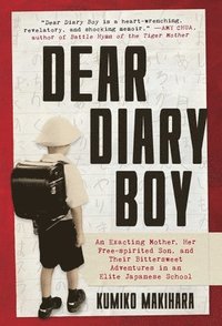 bokomslag Dear Diary Boy