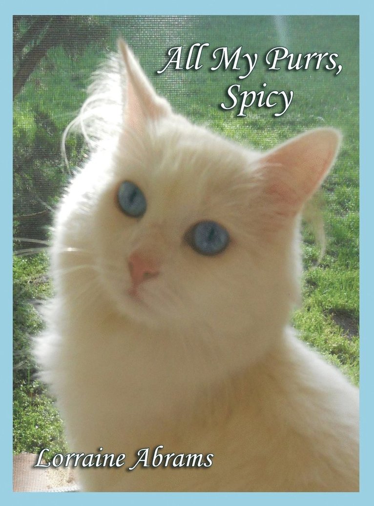 All My Purrs, Spicy 1