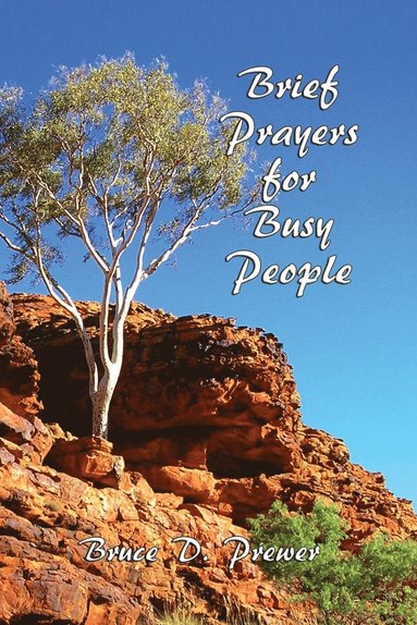 bokomslag Brief Prayers for Busy People