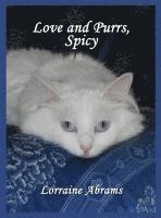 bokomslag Love and Purrs, Spicy