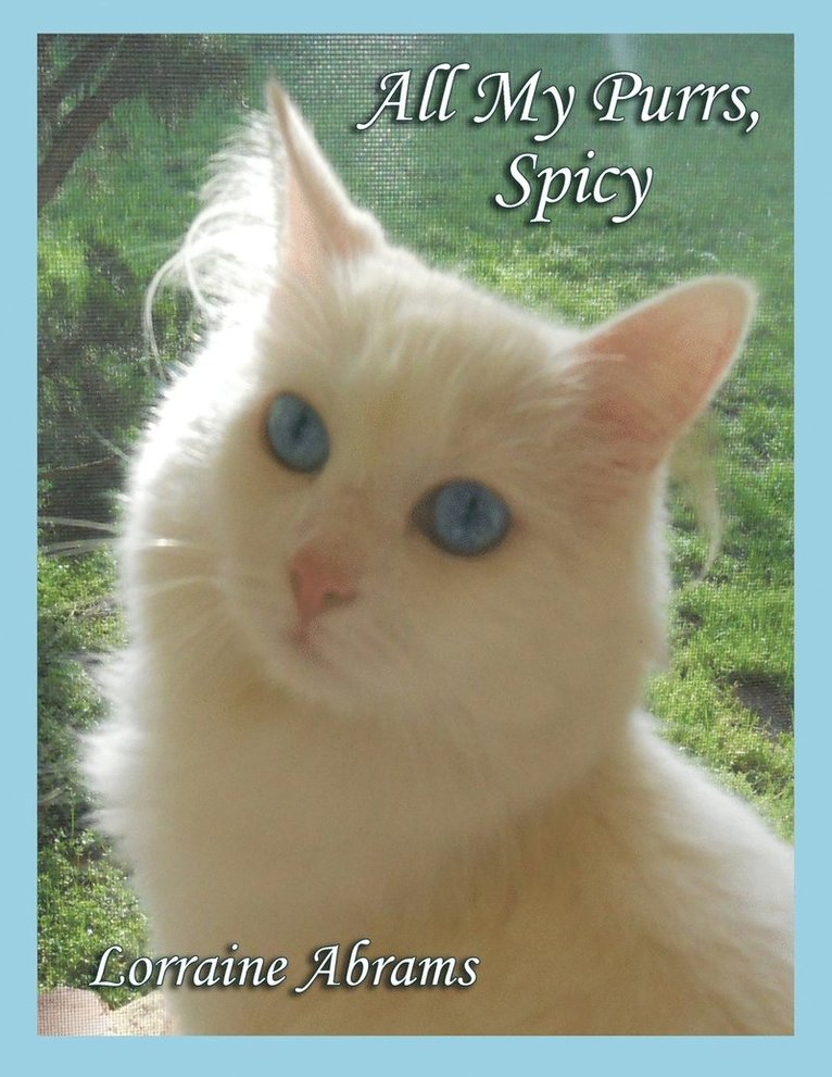 All My Purrs, Spicy 1