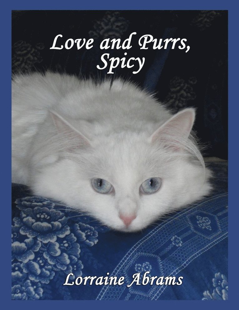 Love and Purrs, Spicy 1