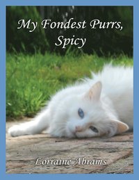 bokomslag My Fondest Purrs, Spicy