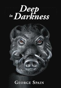 bokomslag Deep in Darkness