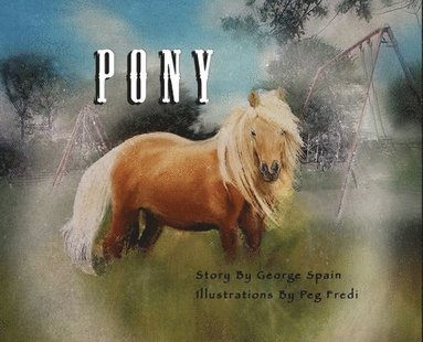 bokomslag Pony