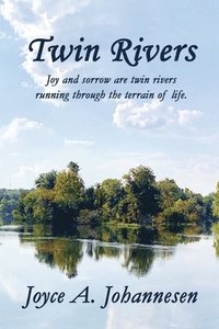 bokomslag Twin Rivers