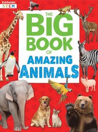 bokomslag Big Book of Amazing Animals