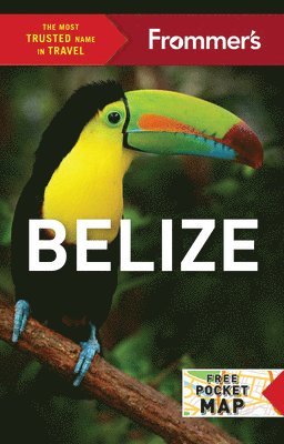 bokomslag Frommer's Belize