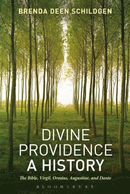 bokomslag Divine Providence: A History