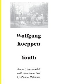 bokomslag Youth - A Novel