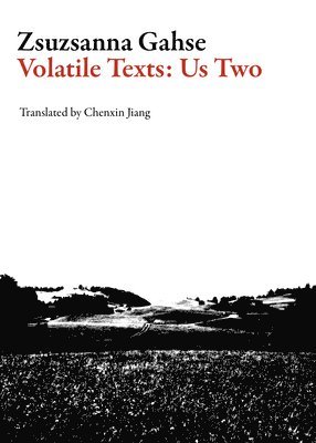 Zsuzsanna Gahse - Volatile Texts: Us Two, Häftad