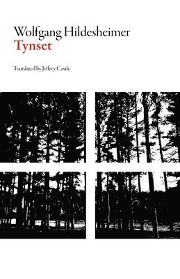 Wolfgang Hildesheimer - Tynset, Häftad