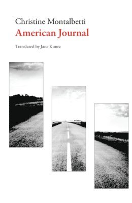 Christine Montalbetti - American Journal, Häftad