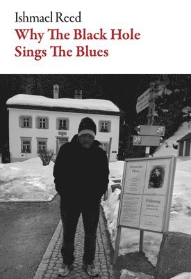 bokomslag Why the Black Hole Sings the Blues