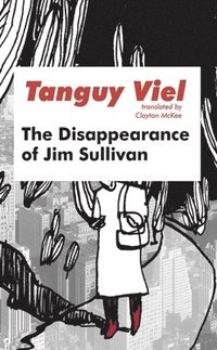 bokomslag The Disappearance of Jim Sullivan