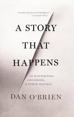 bokomslag Story that Happens
